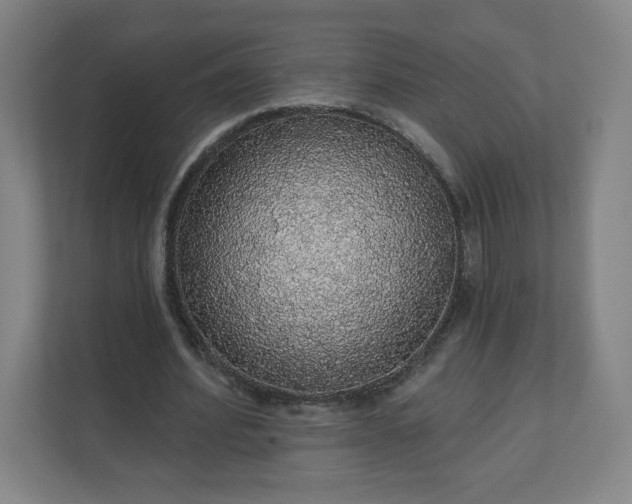 X0000112160580200908211436