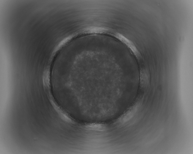 X0000112160581200908211436