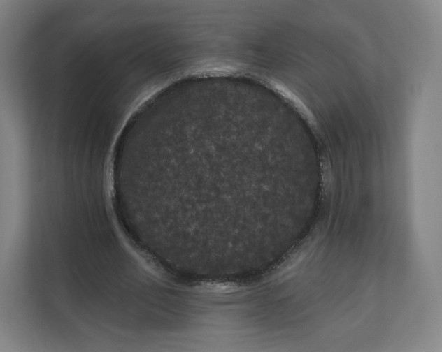 X0000112160582200908211436