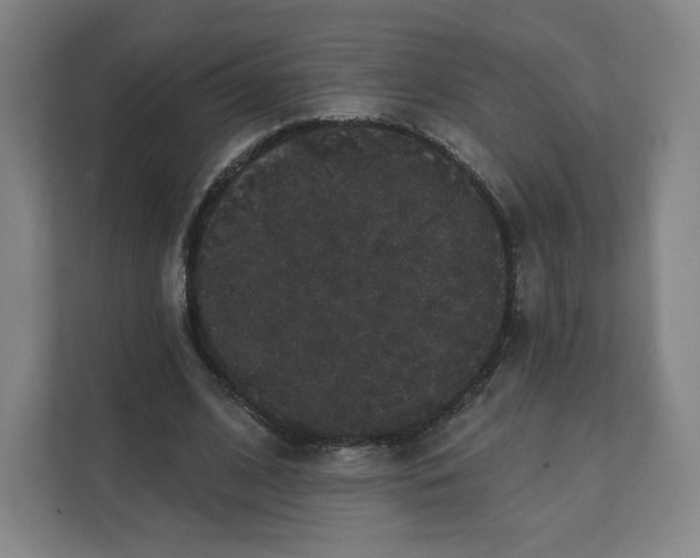 X0000112160584200908211436