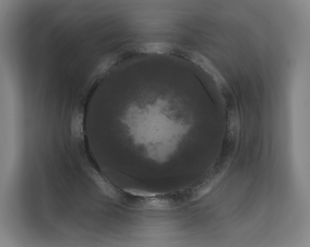 X0000112160585200908211436