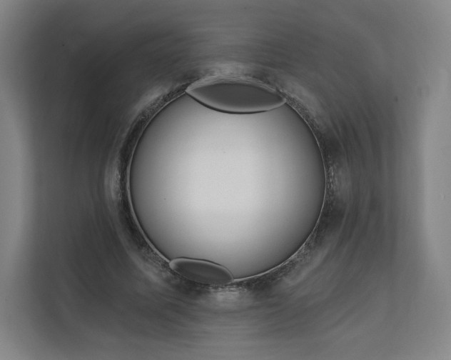 X0000112160587200908211436