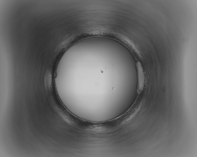 X0000112160589200908211436