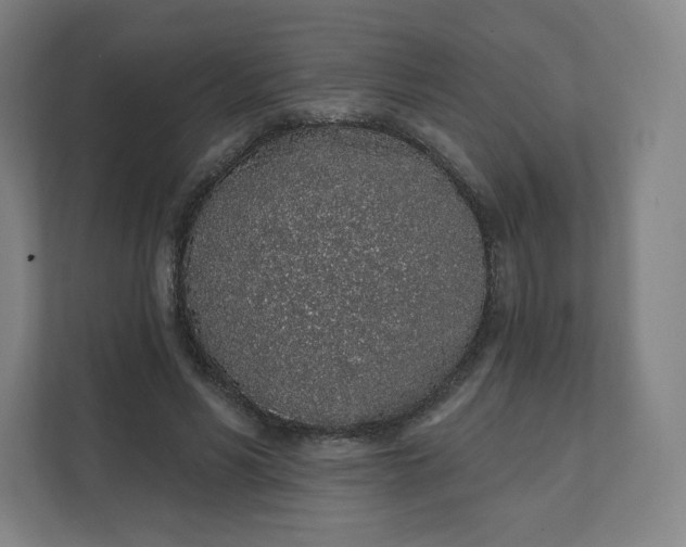 X0000112160590200908211436