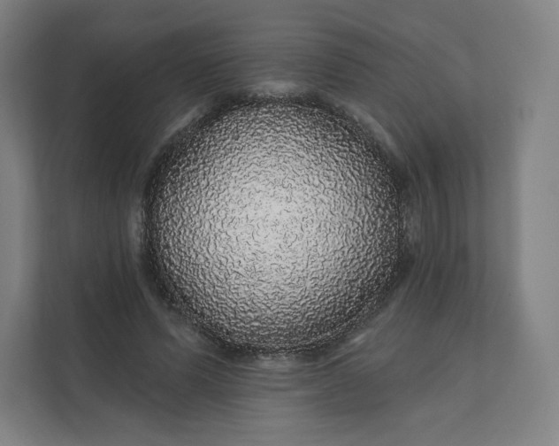X0000112160591200908211436