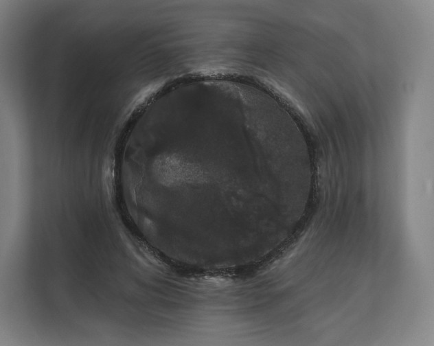 X0000112160592200908211436