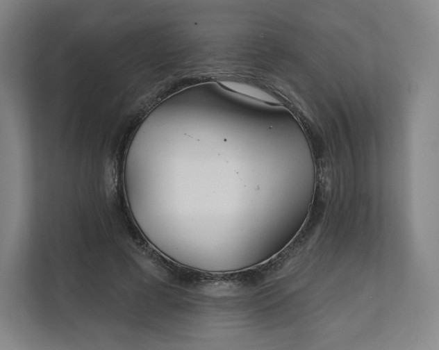 X0000112160593200908211436