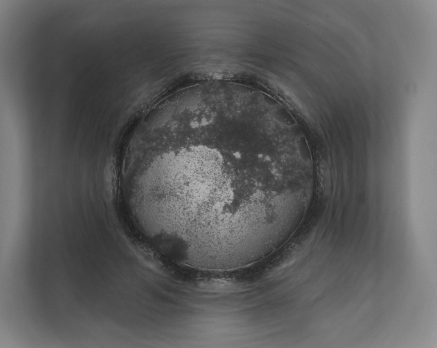 X0000112160594200908211436
