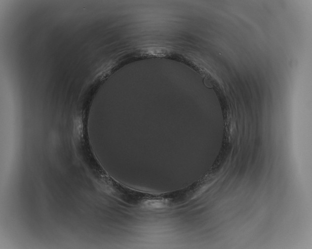 X0000112160595200908211436