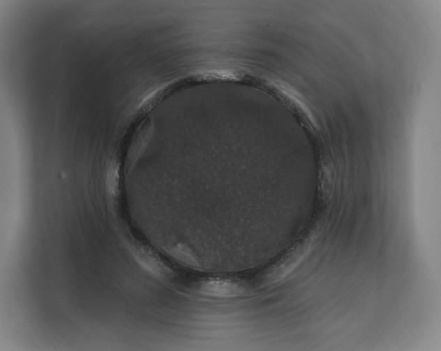 X0000112160596200908211436