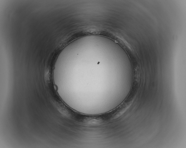 X0000112160597200908211436