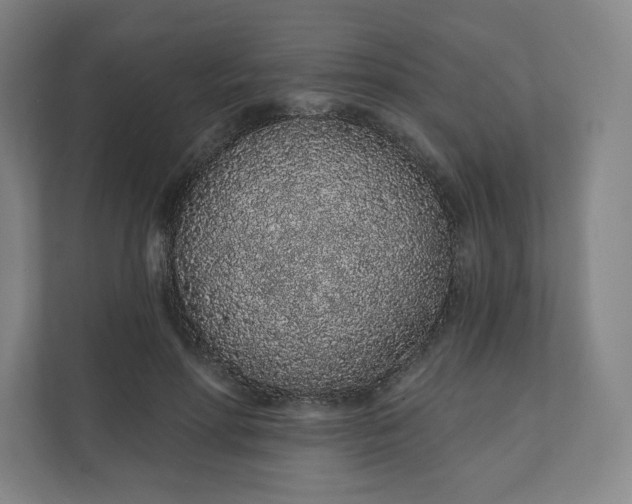 X0000112160598200908211436