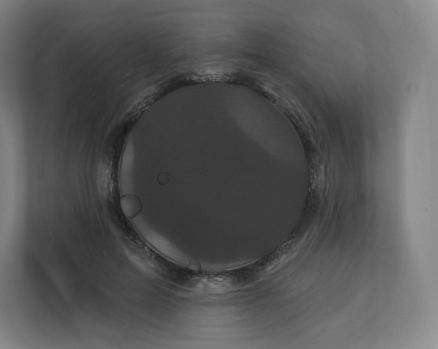 X0000112160599200908211436