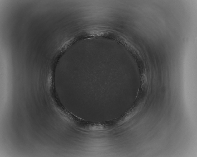 X0000112160600200908211436