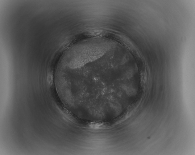 X0000112160602200908211436