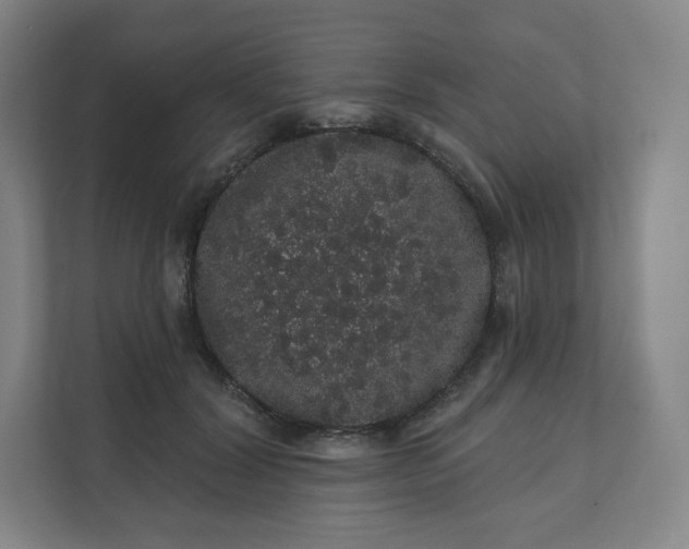 X0000112160604200908211436