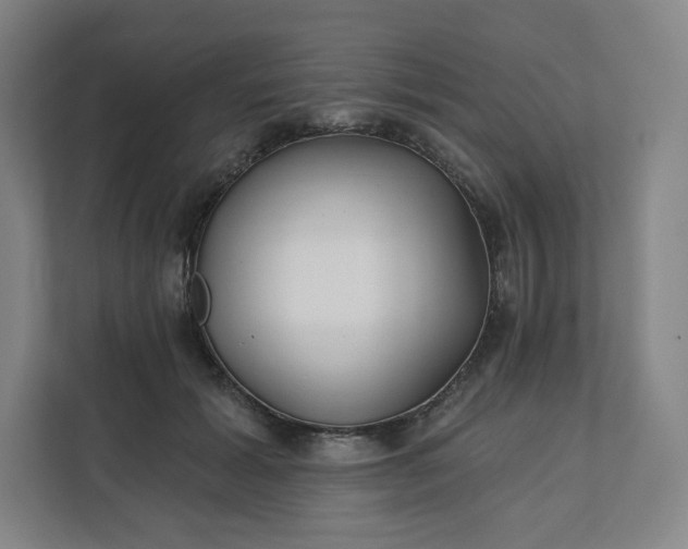 X0000112160605200908211436