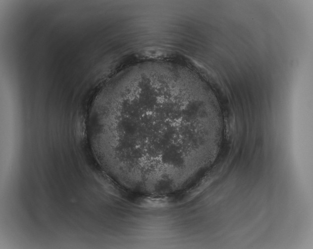 X0000112160606200908211436