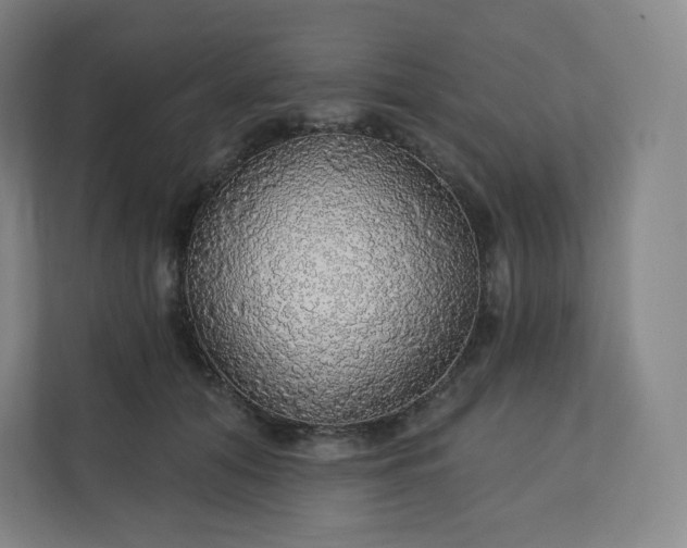 X0000112160608200908211436