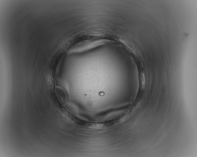 X0000112160609200908211435