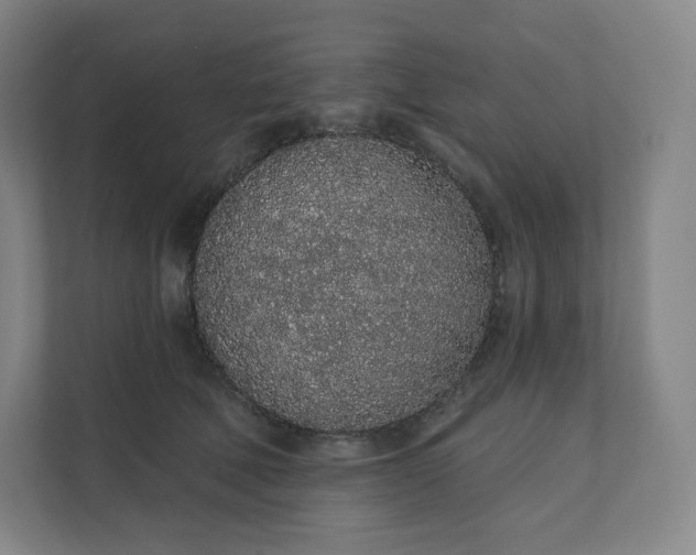 X0000112160610200908211435