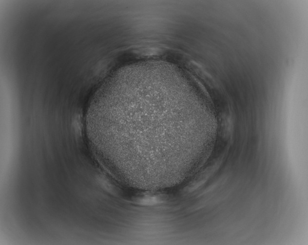 X0000112160612200908211435