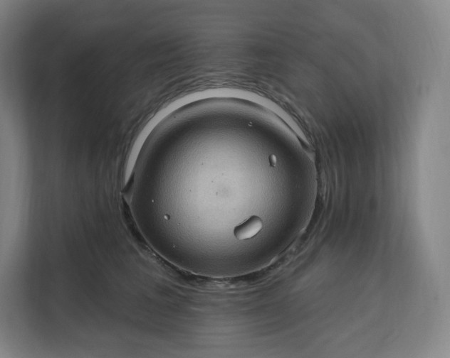X0000112160613200908211435