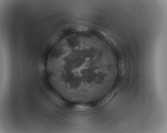 X0000112160614200908211435
