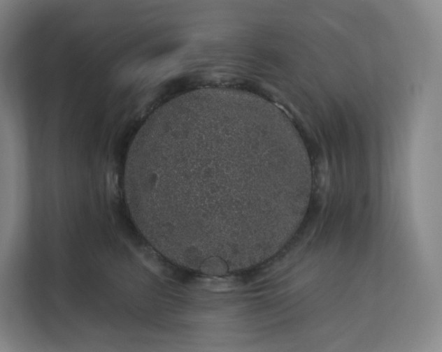 X0000112160615200908211435