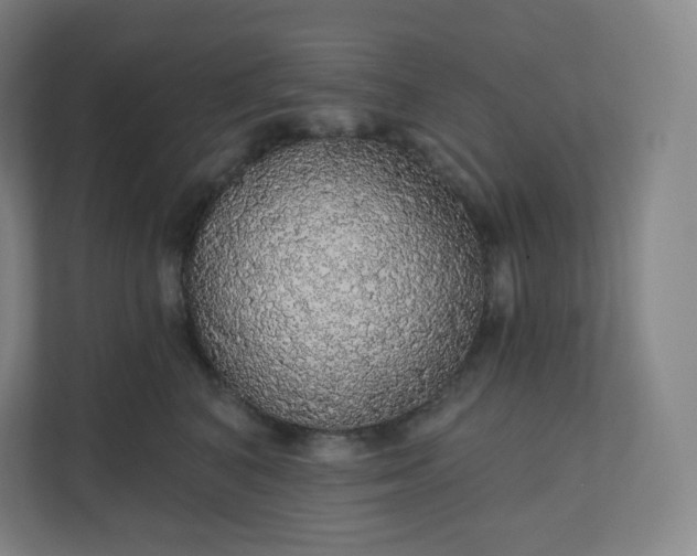 X0000112160616200908211435