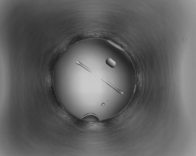 X0000112160617200908211435
