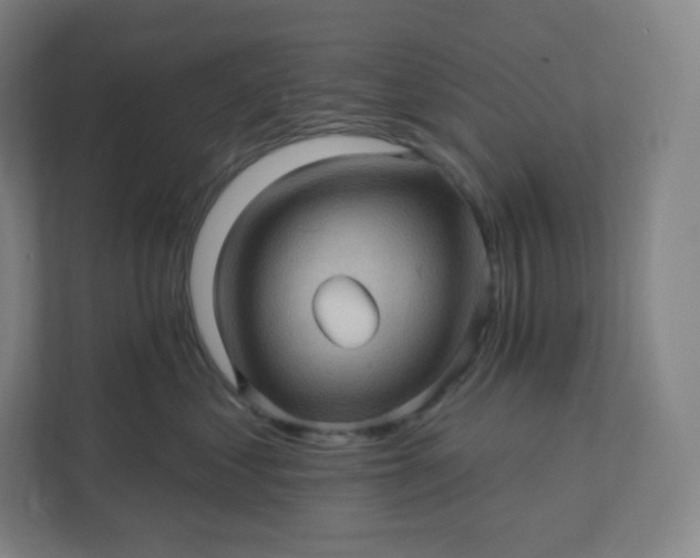 X0000112160621200908211435