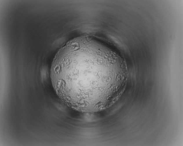 X0000112160623200908211435