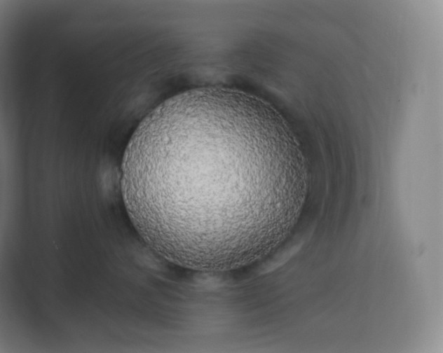 X0000112160624200908211435