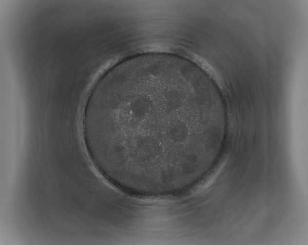 X0000112160625200908211435