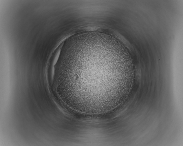 X0000112160626200908211435