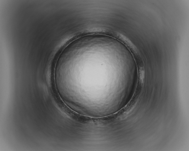 X0000112160627200908211435