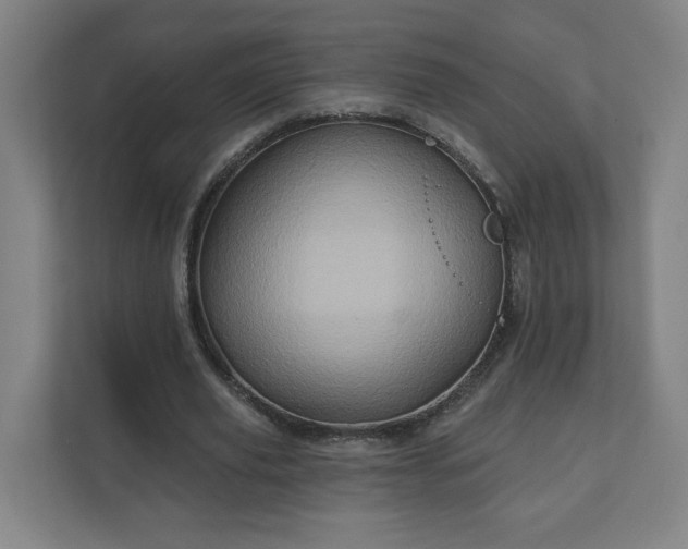 X0000112160629200908211435