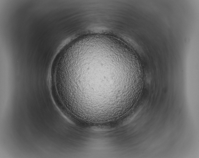 X0000112160630200908211435