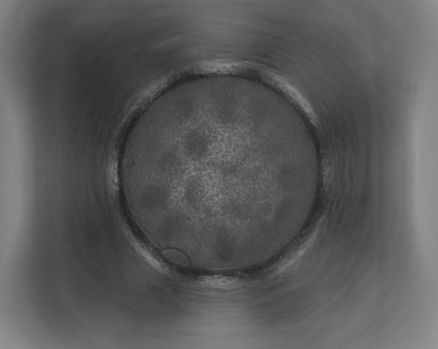 X0000112160633200908211435