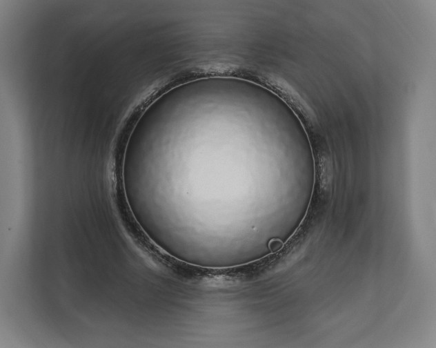 X0000112160634200908211435