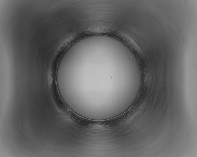 X0000112160635200908211435
