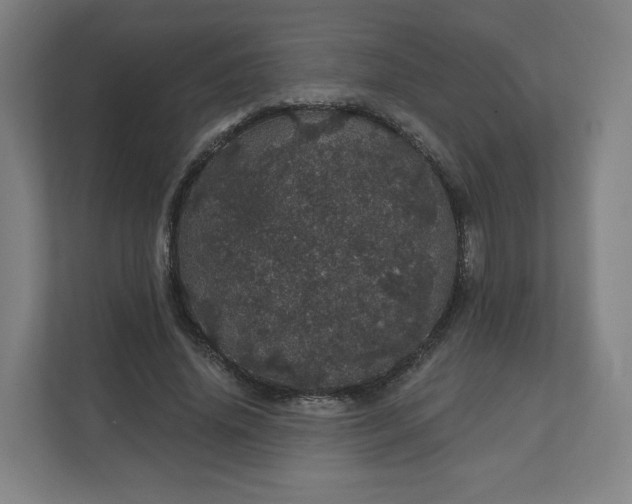 X0000112160636200908211435