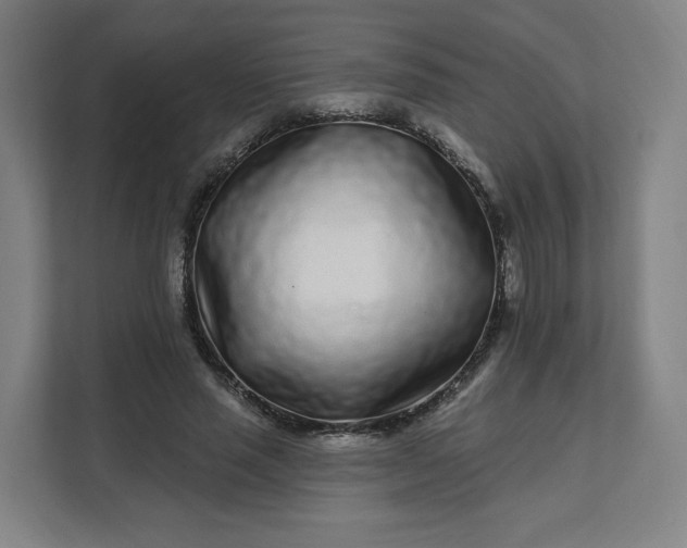 X0000112160637200908211435