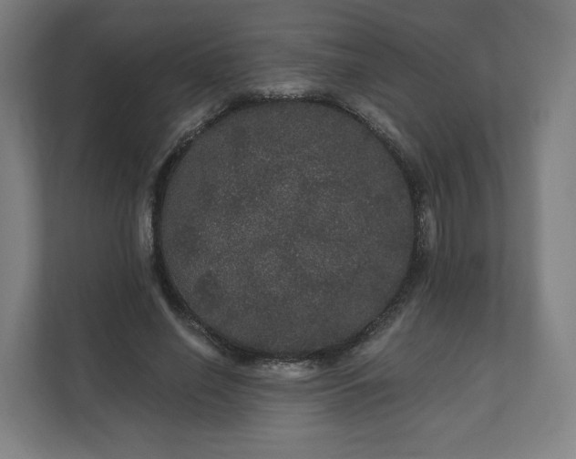 X0000112160638200908211435