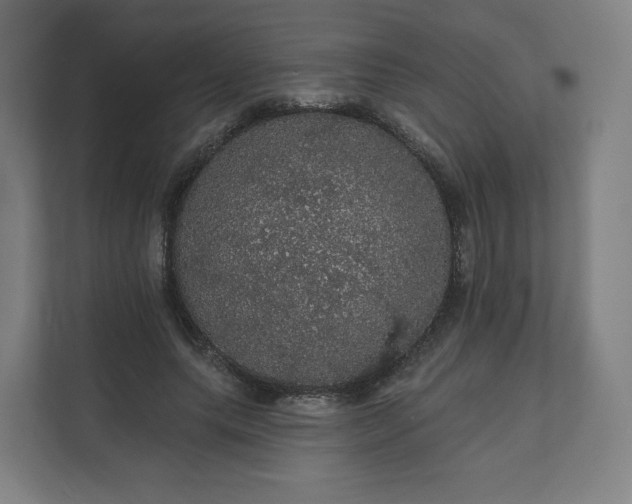 X0000112160639200908211435