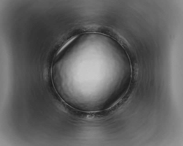 X0000112160641200908211435