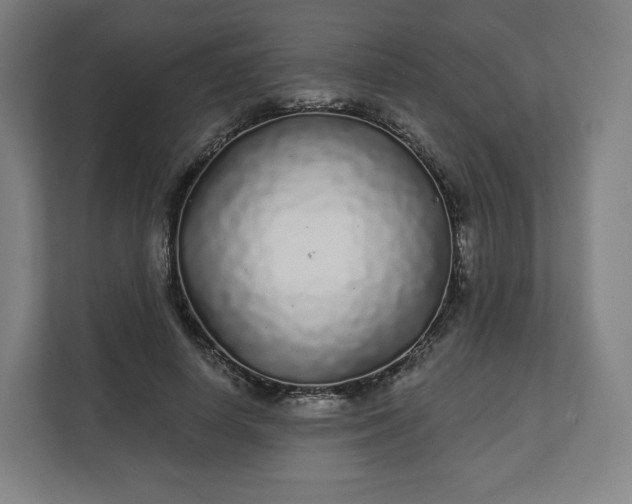 X0000112160642200908211435