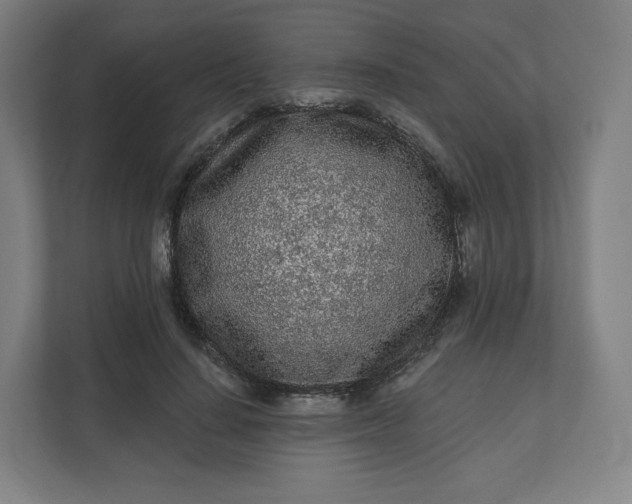 X0000112160644200908211435