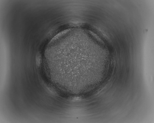 X0000112160647200908211435